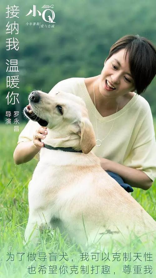 哪里可以办摩尔多瓦护照电子版